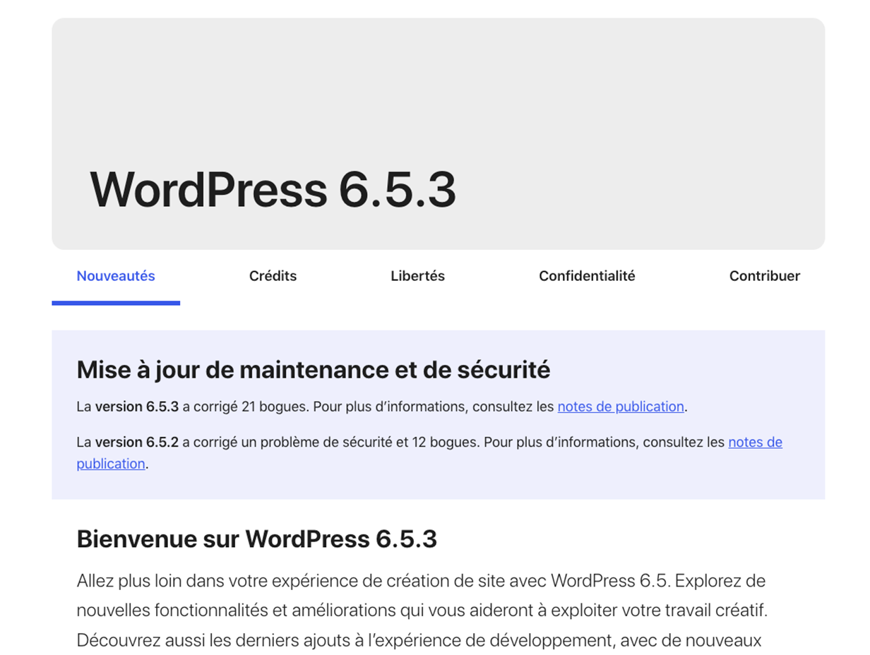 WordPress 6.5 une version qui fait encore monter le FSE d’un cran